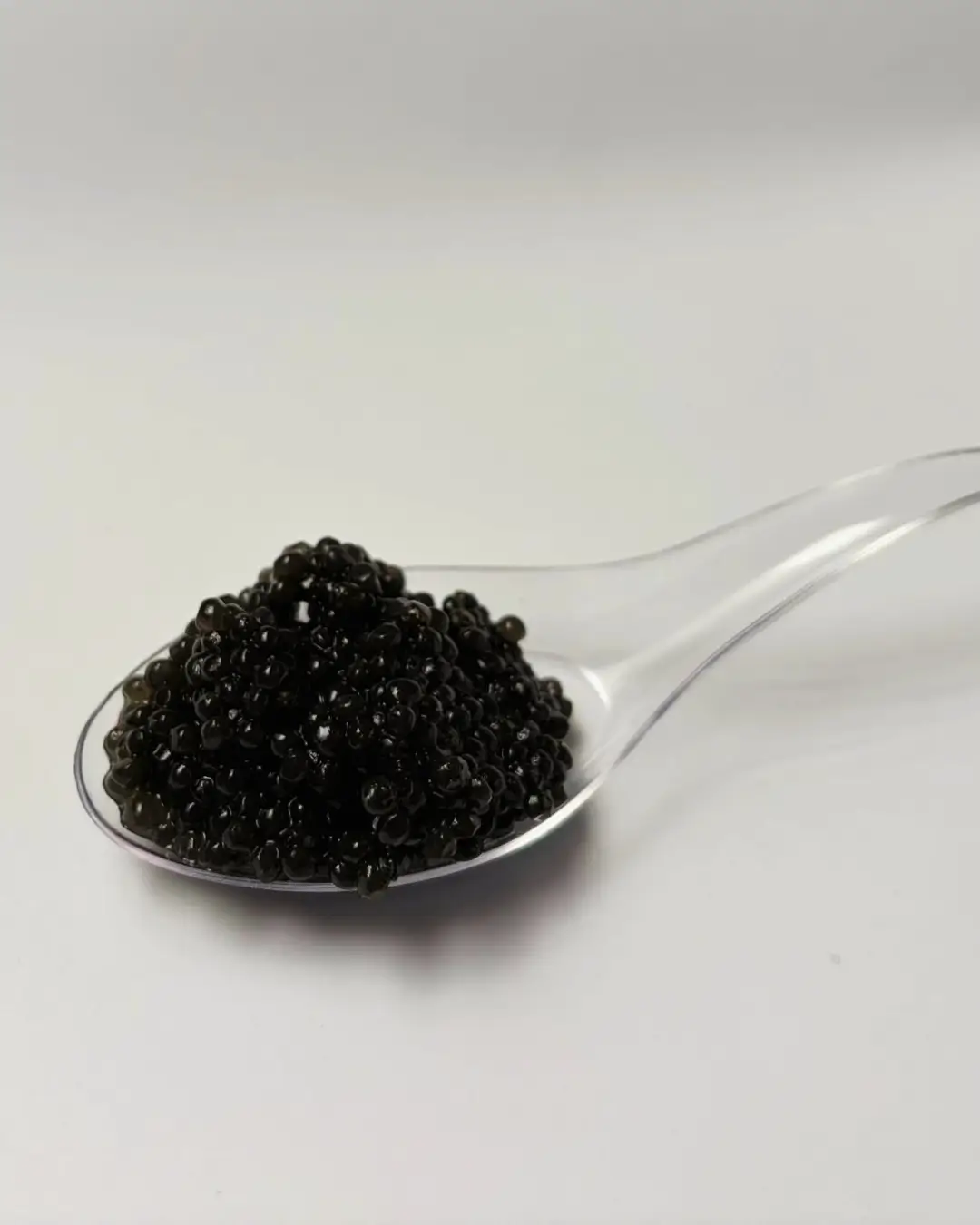Esferificaciones de trufa en la tienda online de trufas