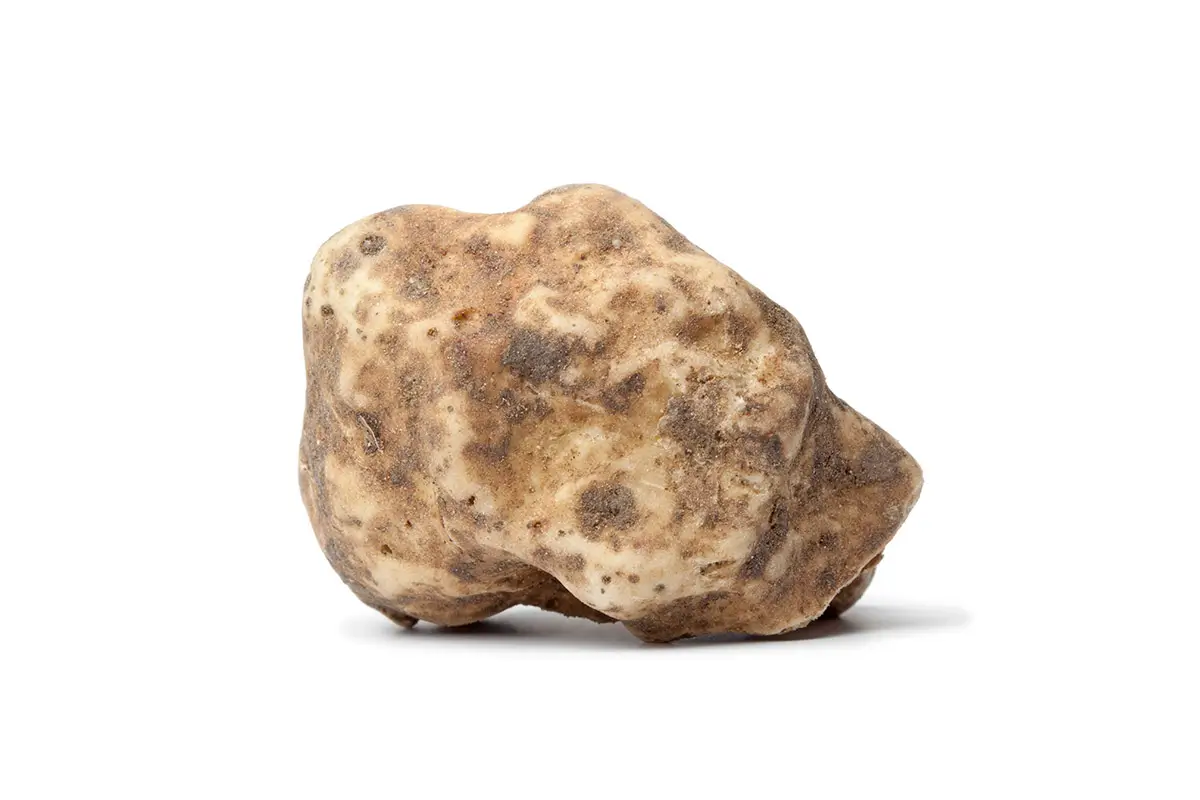 trufa blanca